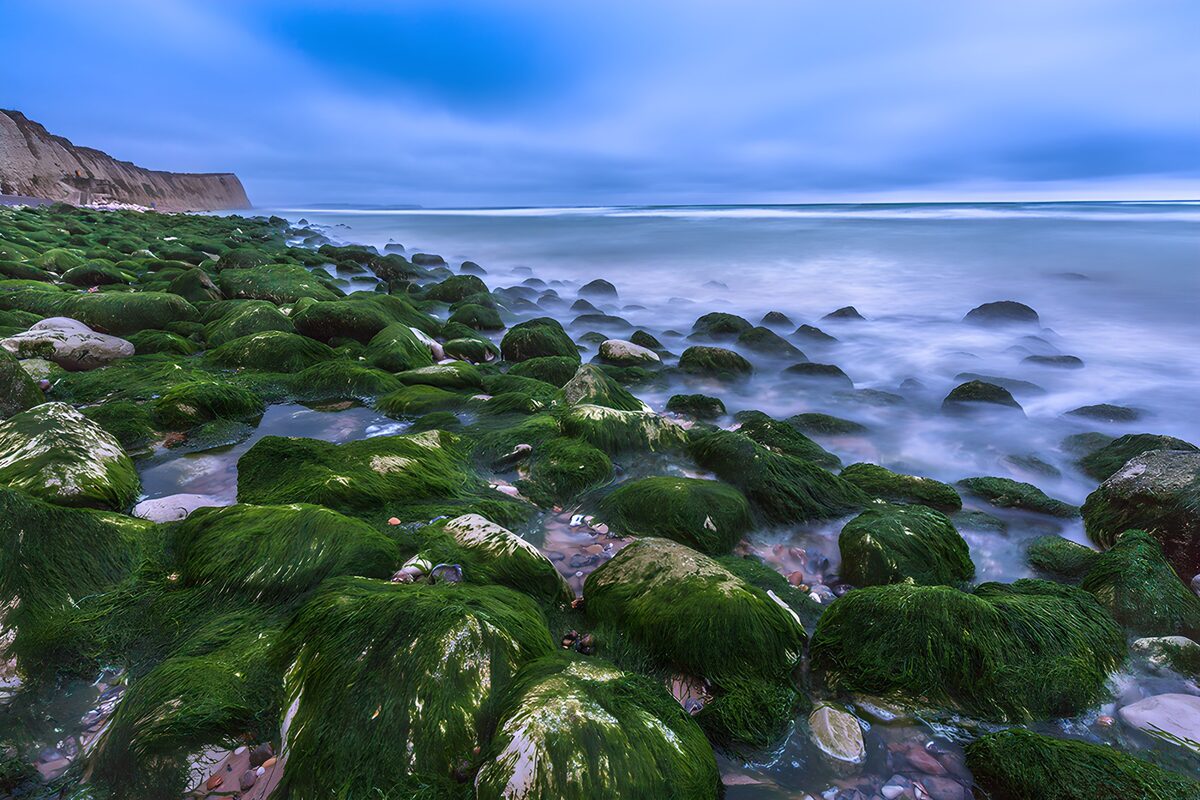 Grüne Felsen vor blaugrauem Meer