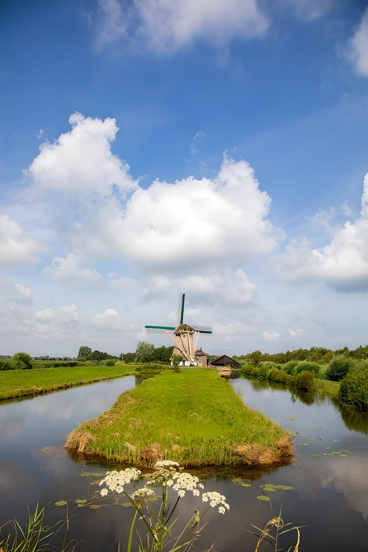 Windmühle zwischen Wiesen und Wasser