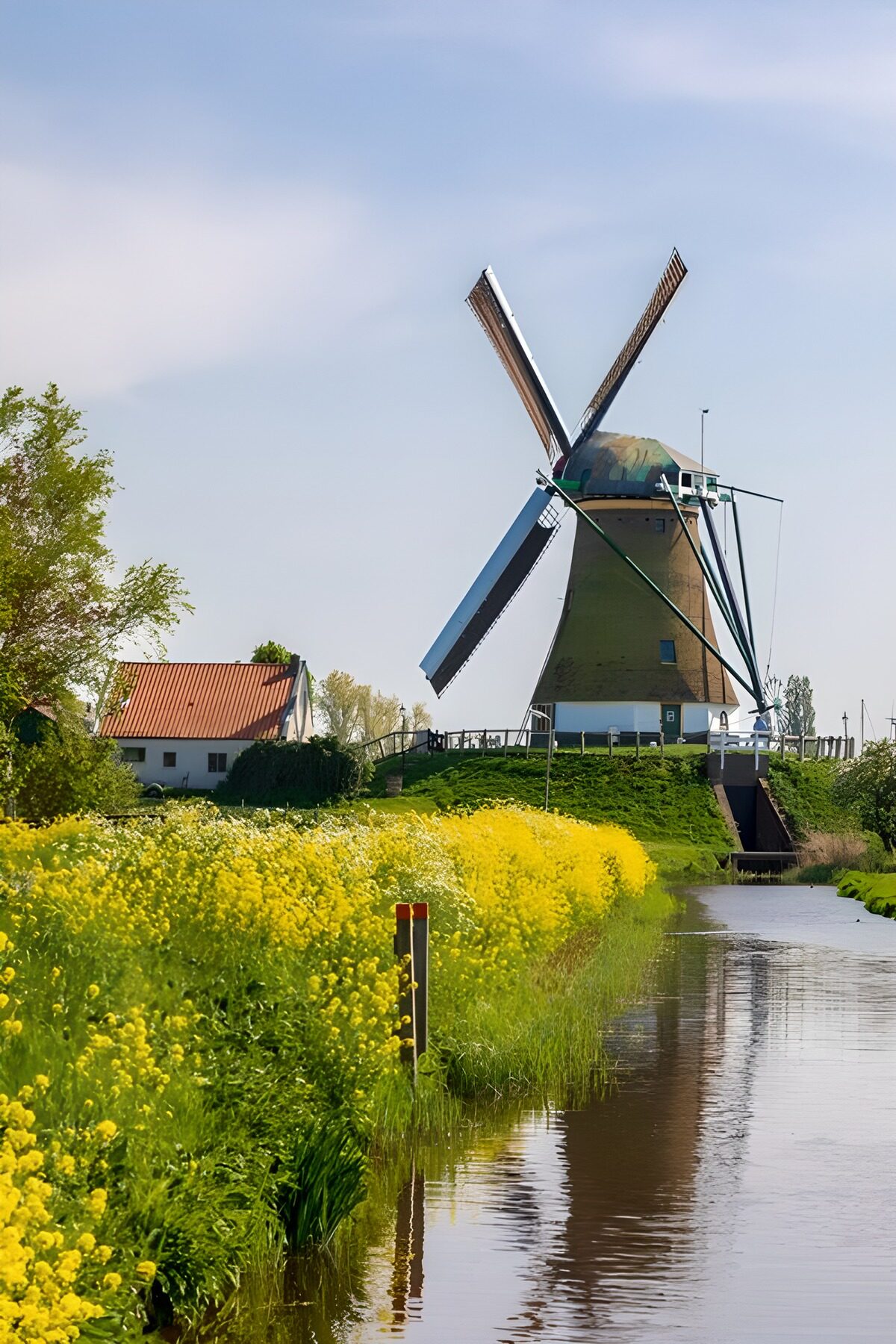 Windmühle am Kanal im Frühlingslicht