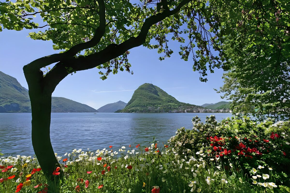 Sommergarten am See mit Bergblick