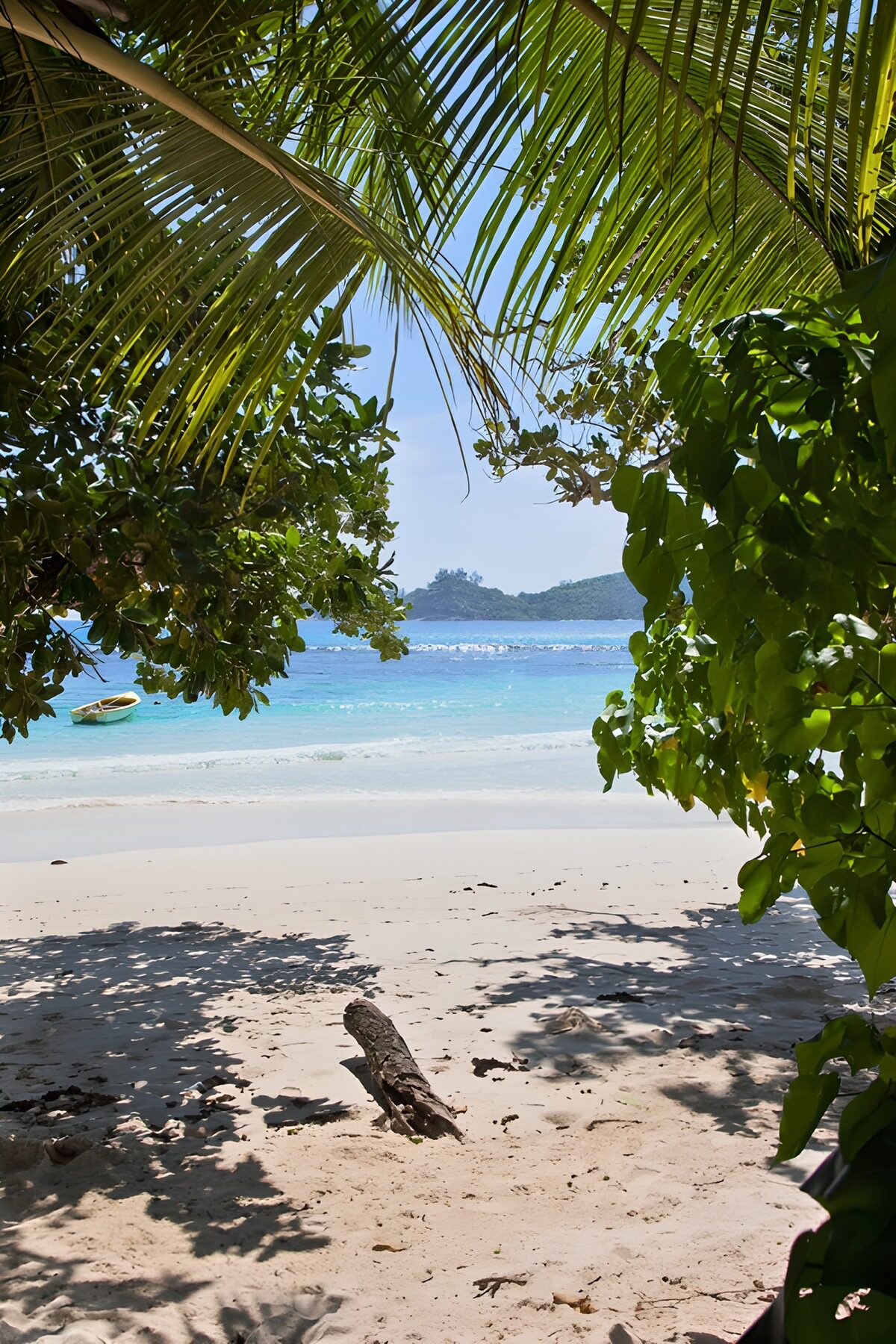 Palmenstrand mit Boot im türkisblauen Meer