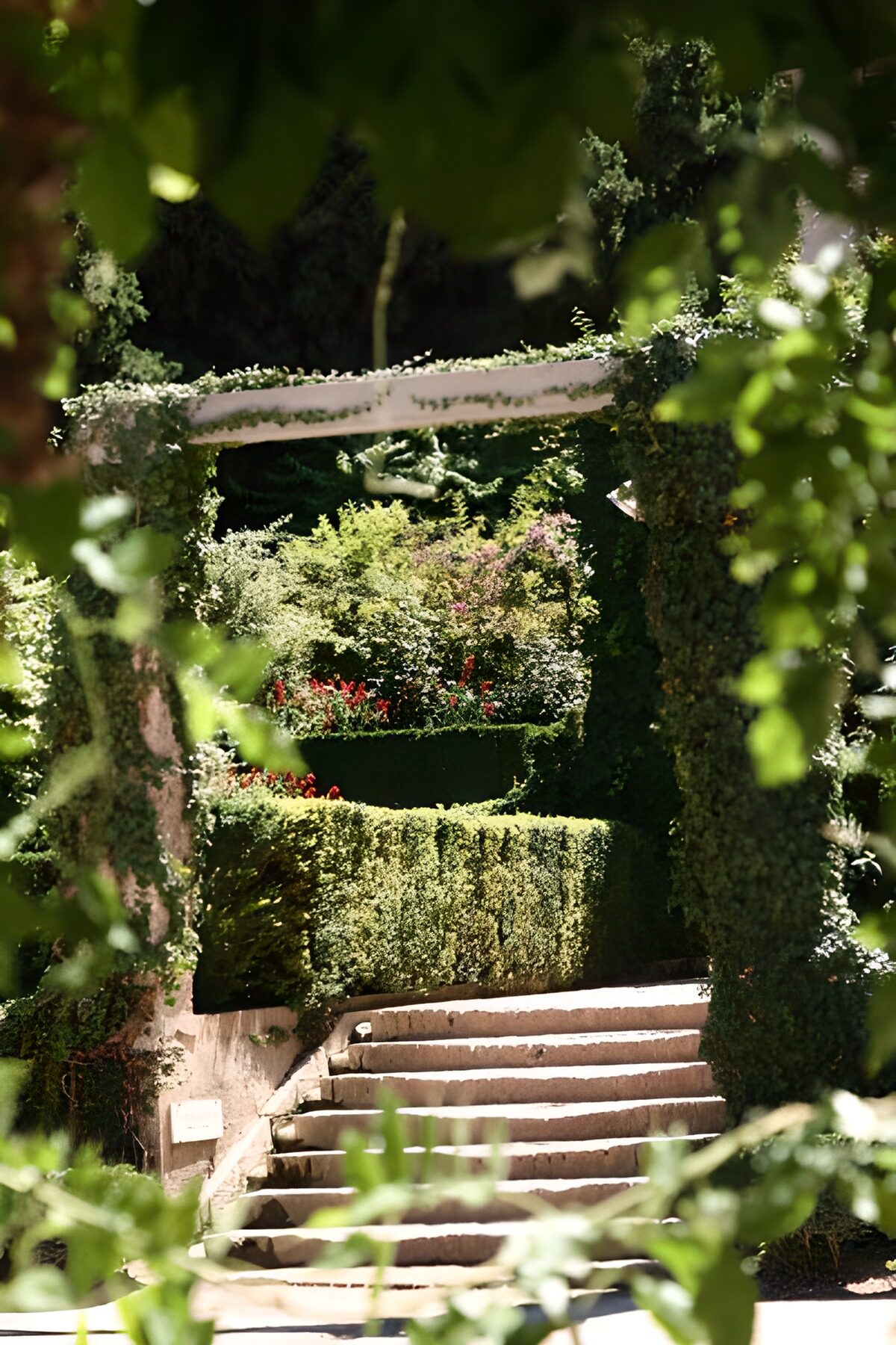Steintreppe im üppigen Gartengrün