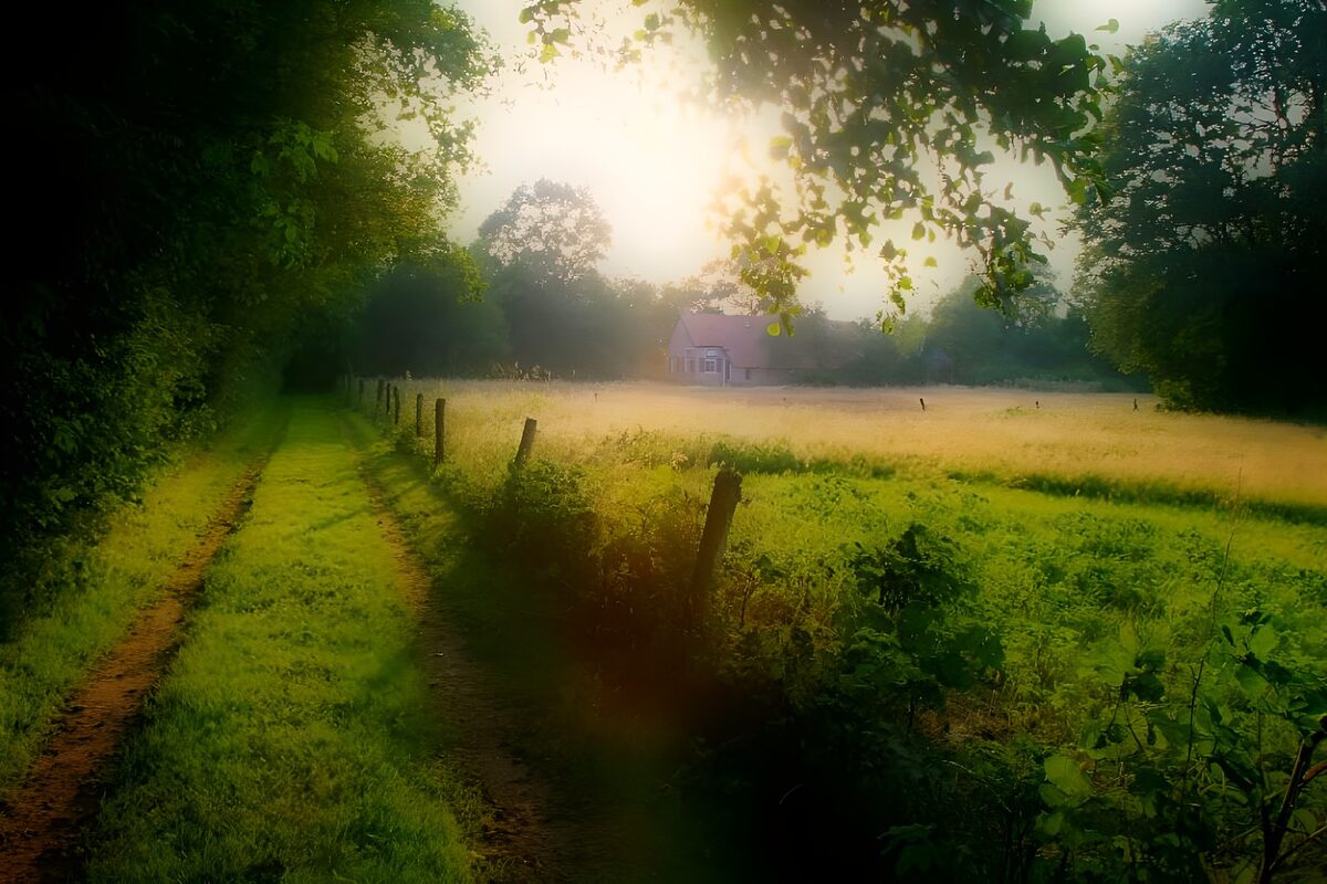Feldweg und Haus im Morgenlicht