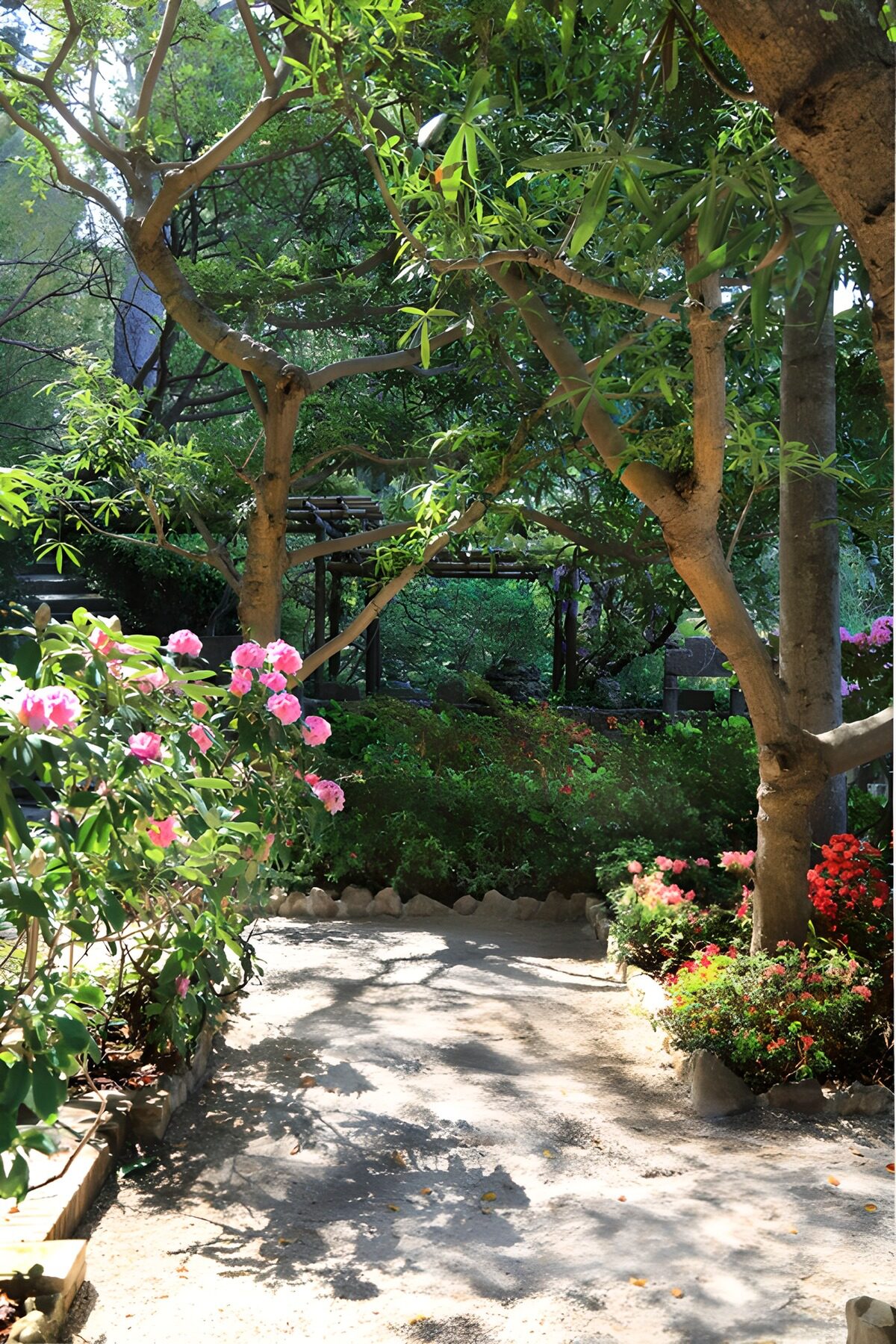 Gartenweg zwischen rosa und roten Blüten