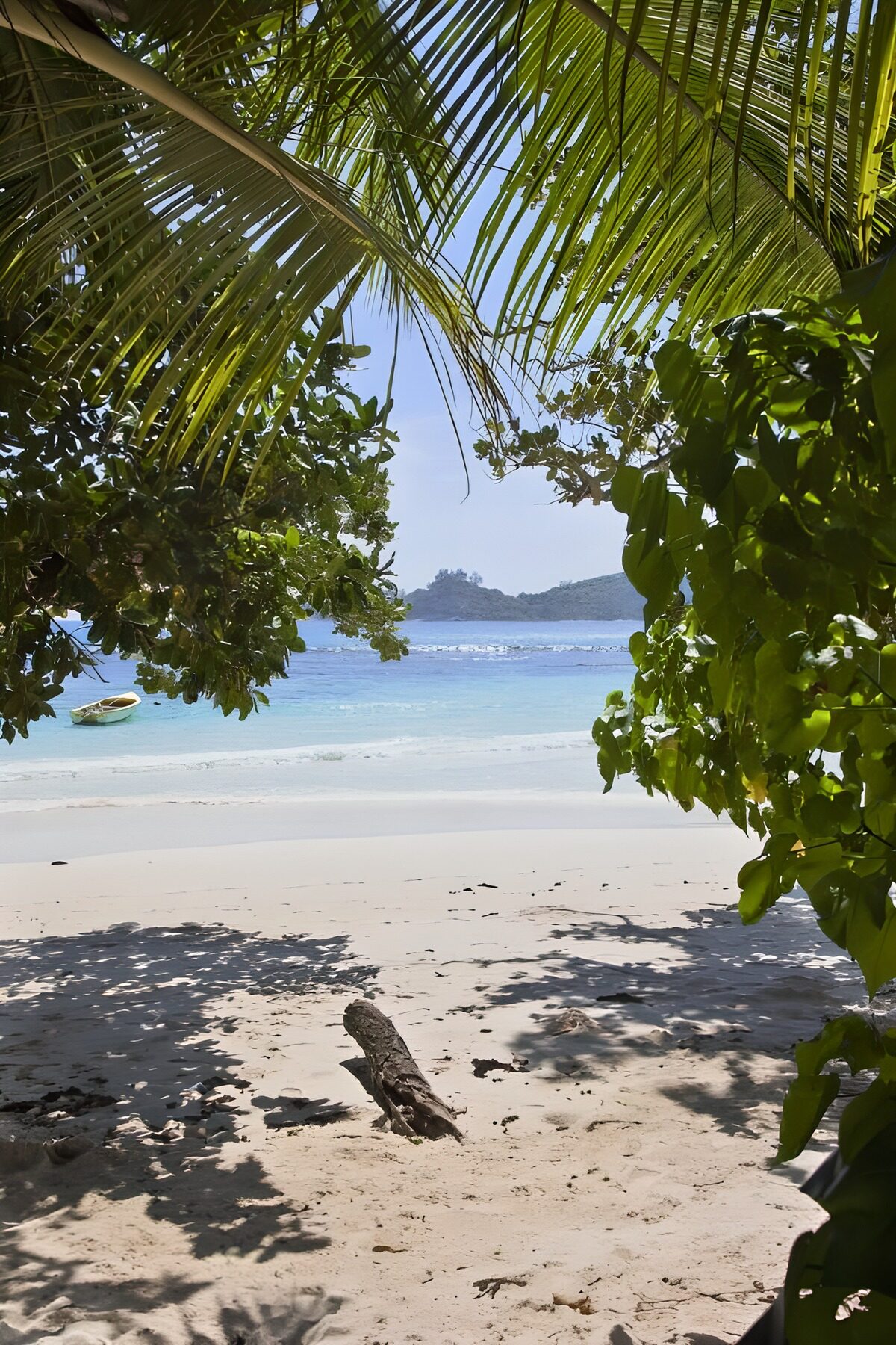 Tropenstrand im Schatten der Palmen