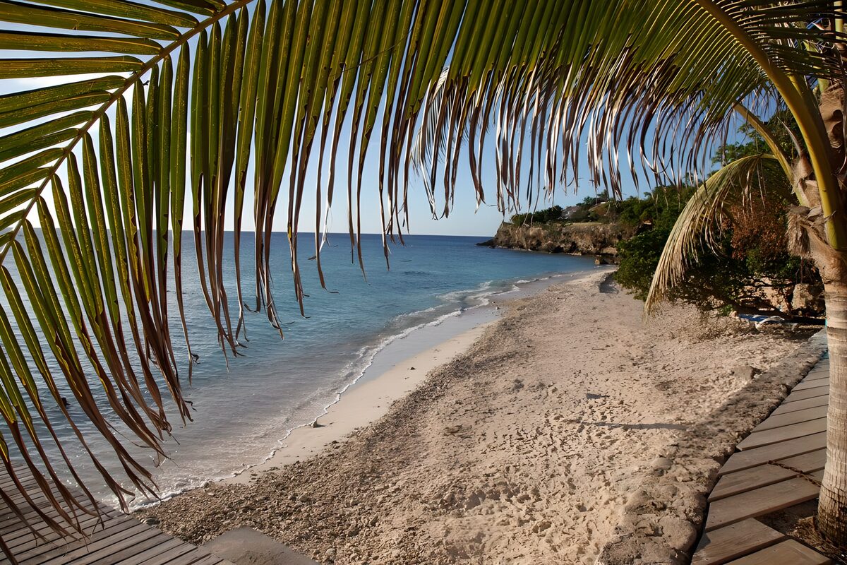 Palmenstrand mit Felsen und blauem Meer