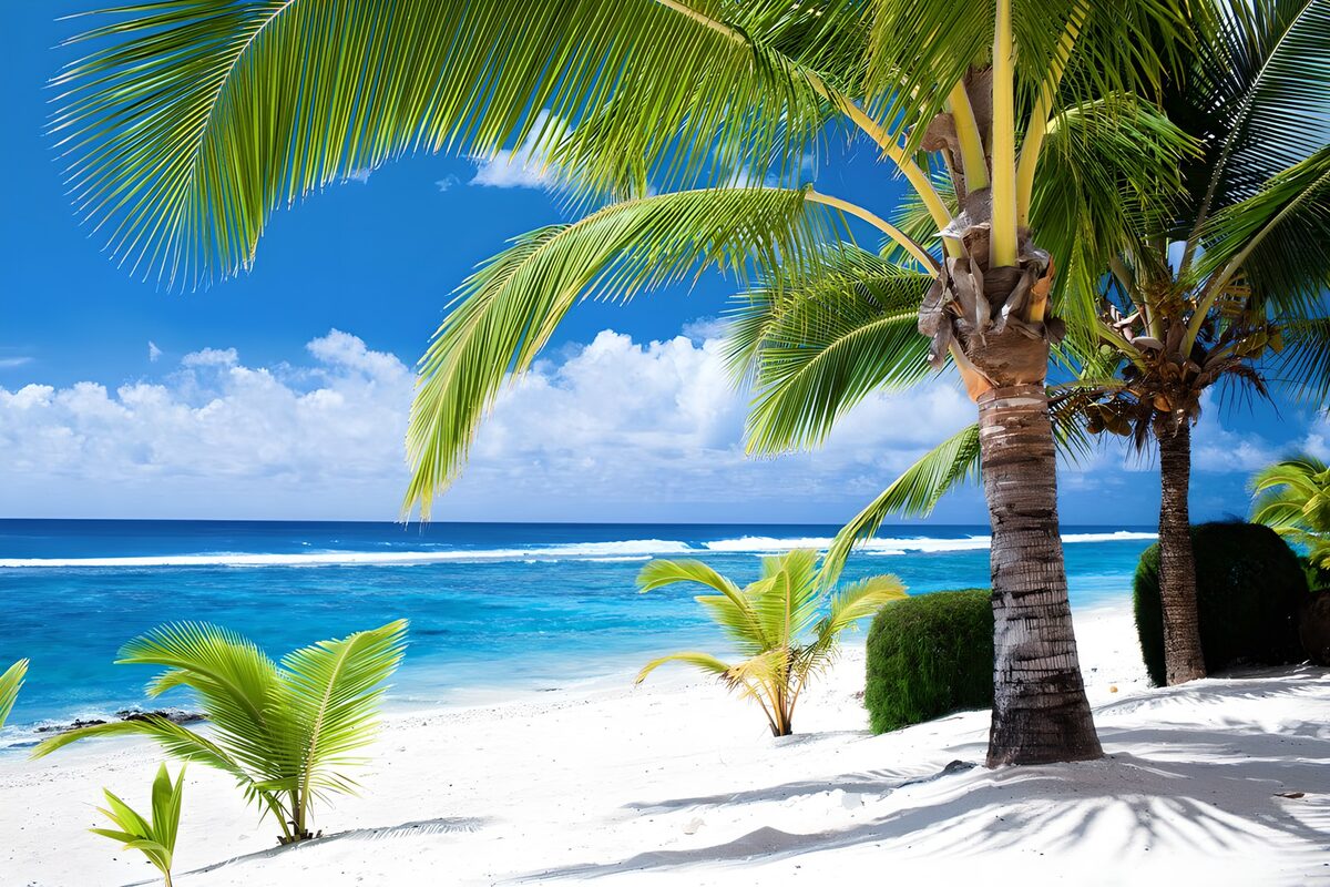 Palmenstrand am leuchtend türkisblauen Meer