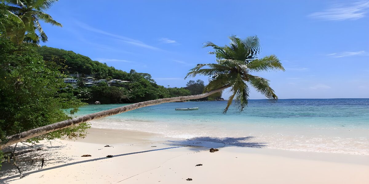 Tropenstrand mit Palme und türkisblauem Meer