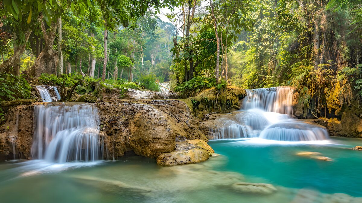 Wasserfälle über Felsstufen im grünen Wald