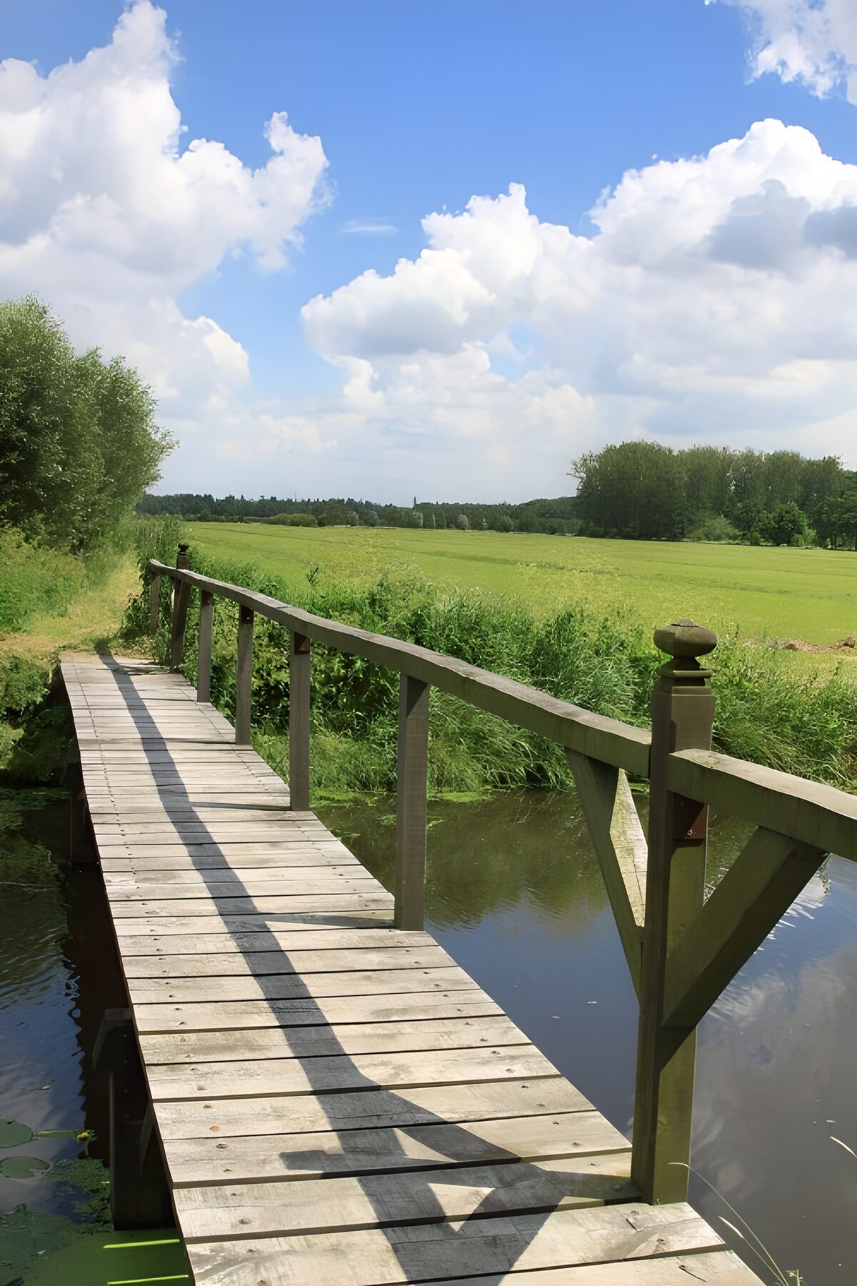 Holzbrücke am stillen Wiesengraben
