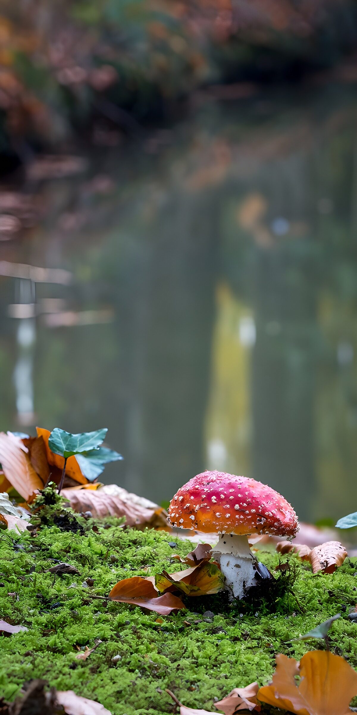Ein roter Hut im stillen Herbst