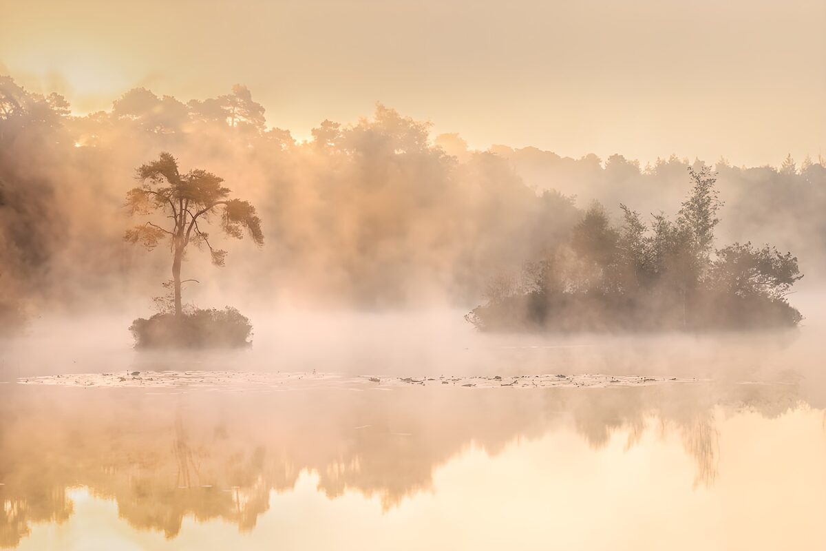 Zwei Inseln zwischen Nebel und Gold