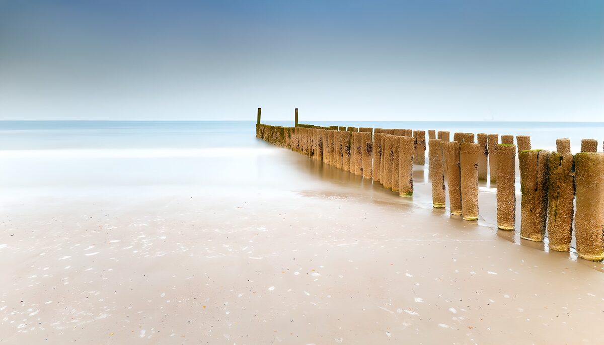 Holzpfähle am stillen Meer