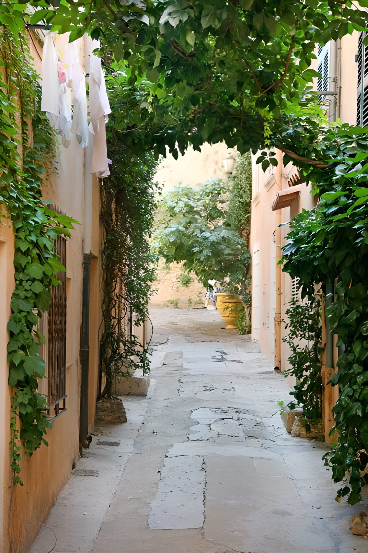 Schmale Gasse unter dichtem Blätterdach