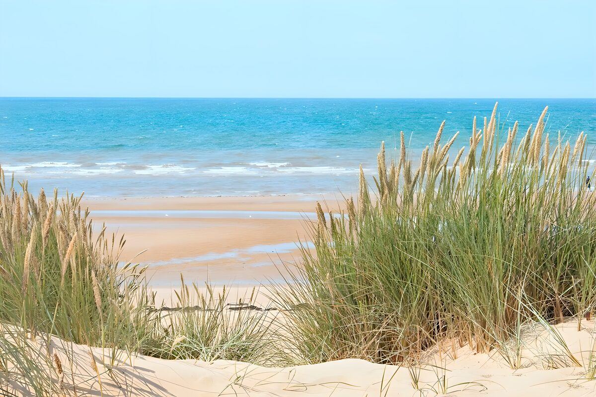 Dünengras am weiten Sandstrand