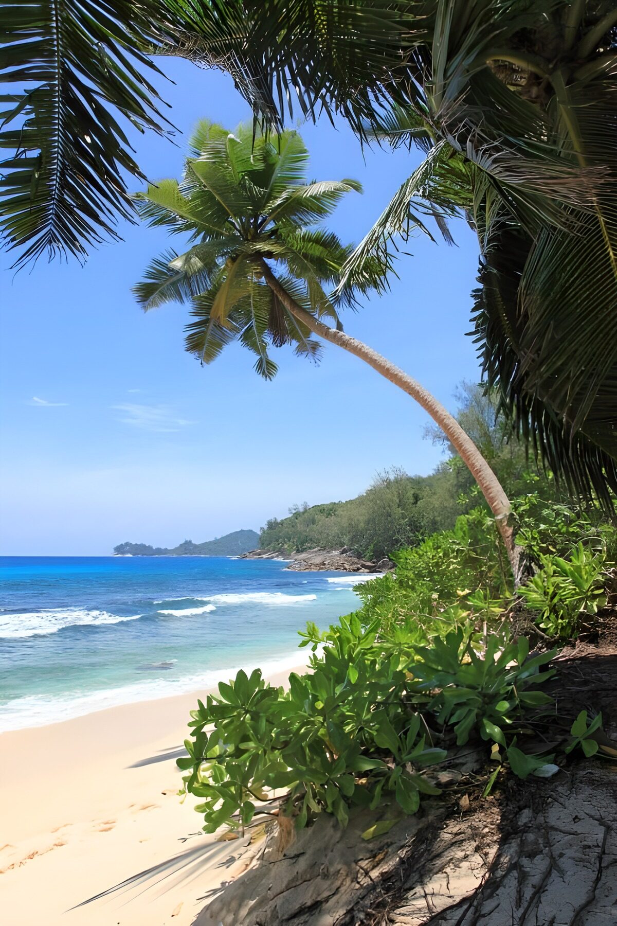 Sonniger Strand mit Palmen und Felsküste
