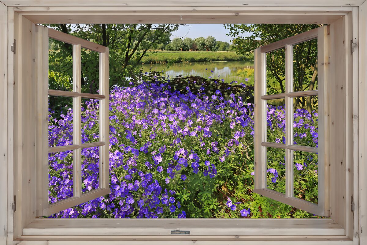 Offenes Fenster zum violetten Blumengarten