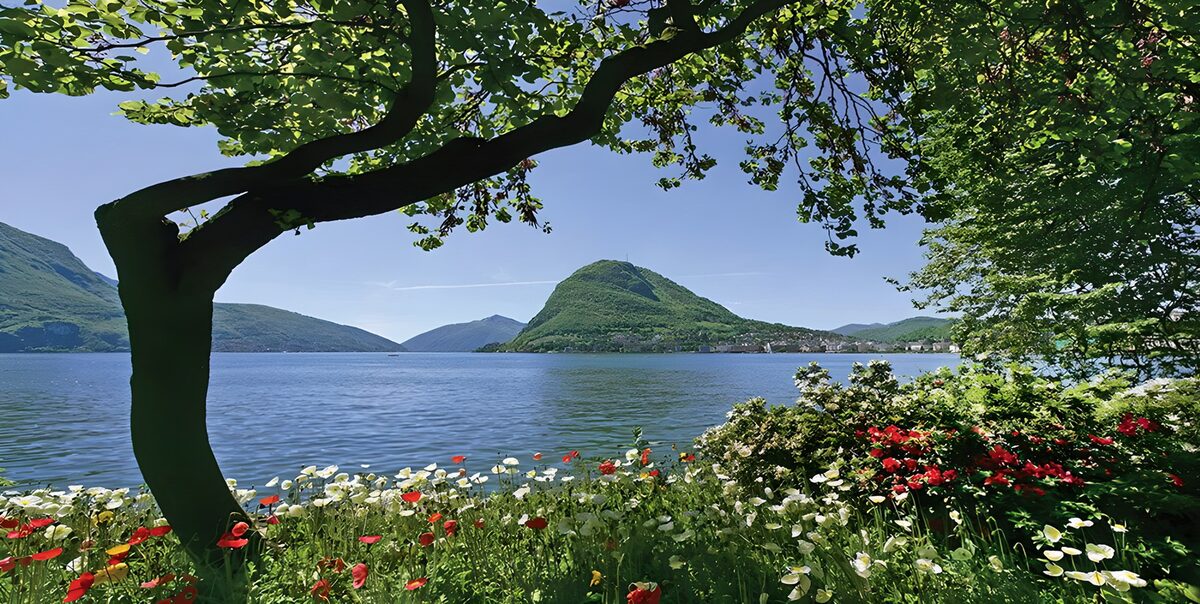 Blumen am See vor grünen Bergen