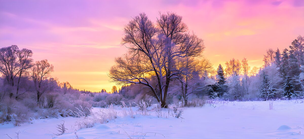 Verschneite Lichtung unter rosa Himmel