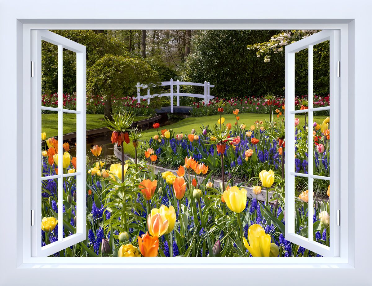 Offenes Fenster zum bunten Tulpengarten