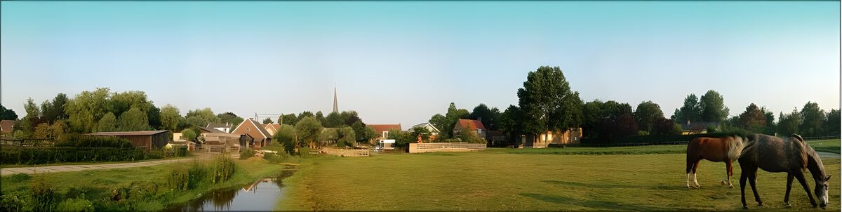 Zwei Pferde auf der Weide am Dorf