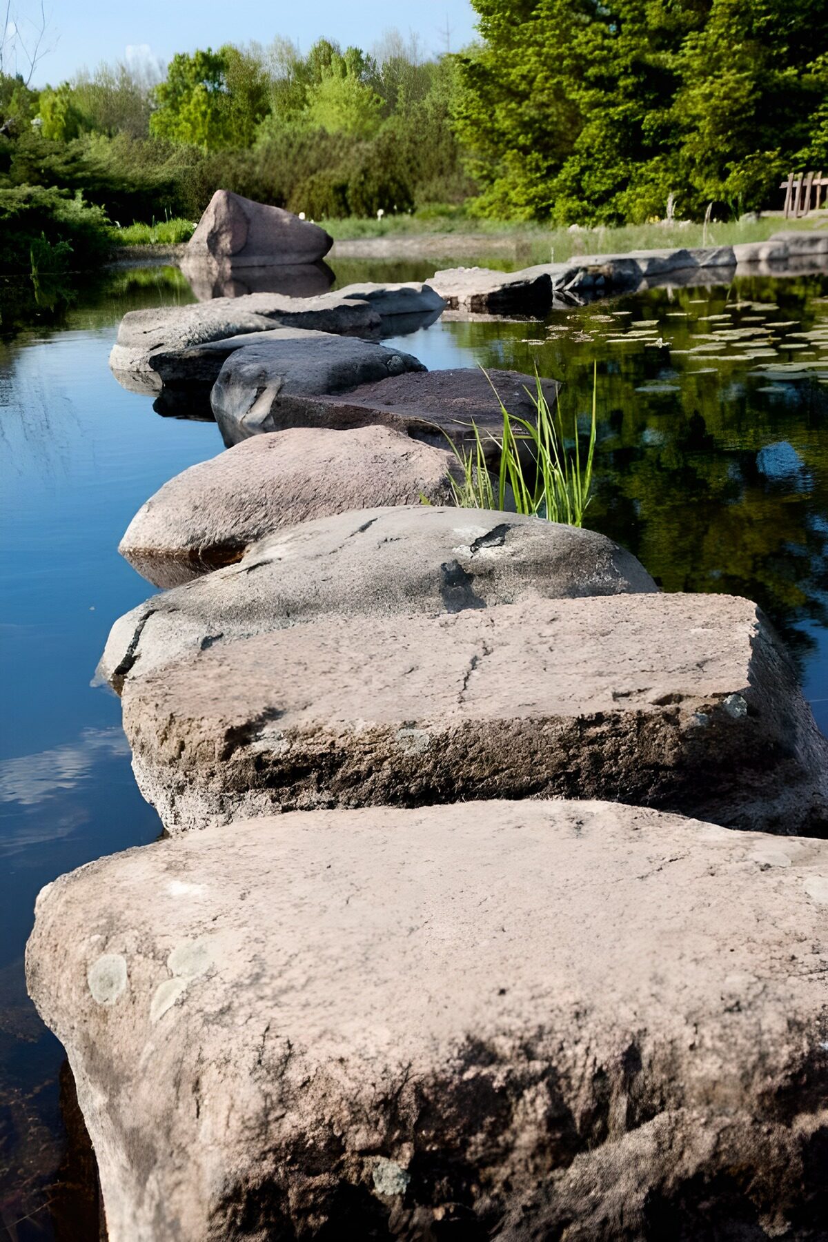 Steinpfad durch den stillen Gartenteich