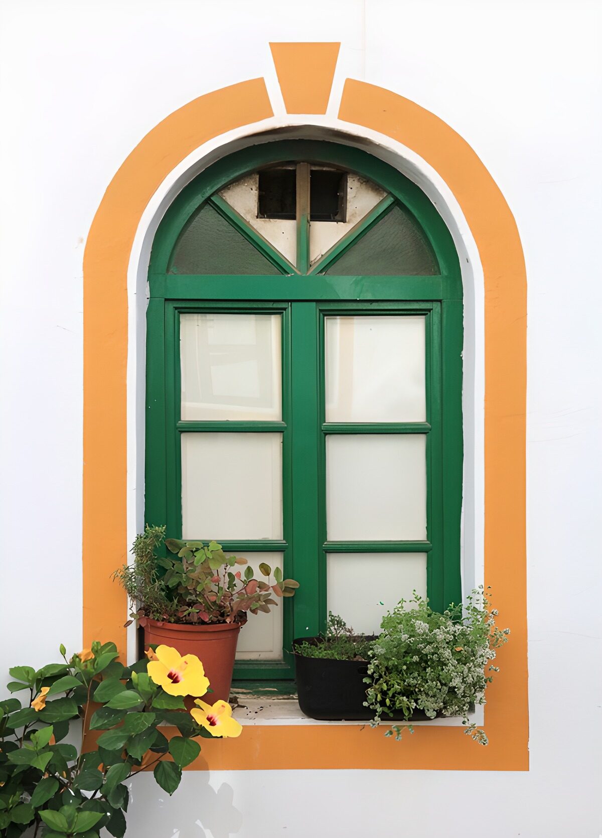 Grünes Bogenfenster mit sonnigem Hibiskus