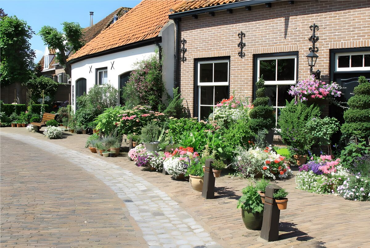 Sonnige Gasse mit bunten Blumentöpfen