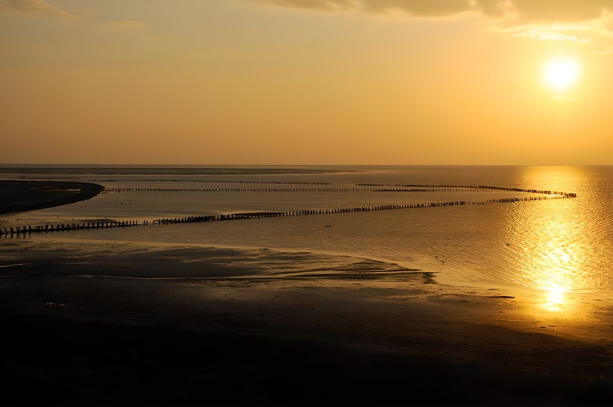 Sonnenuntergang über Watt und Buhnen