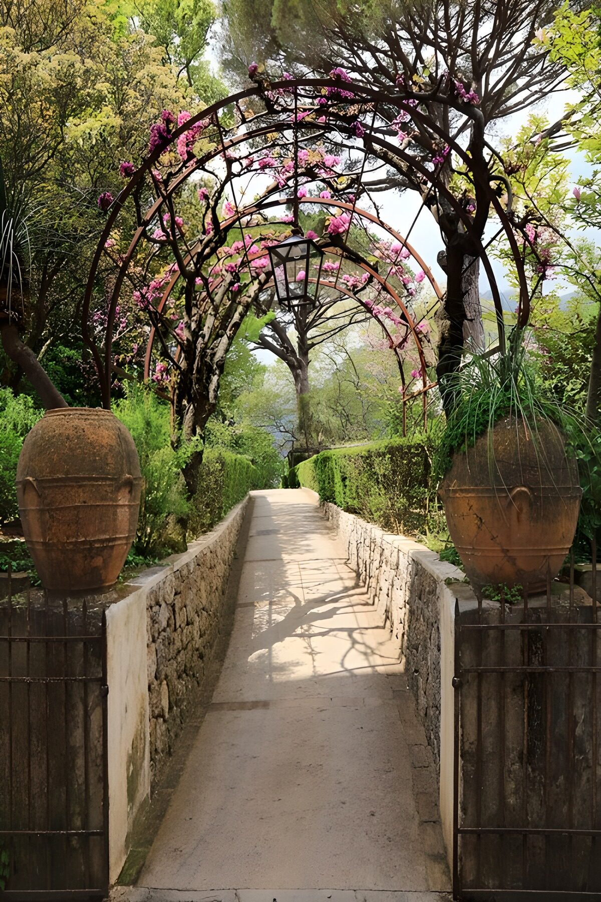 Wo rosa Blüten den Weg überspannen