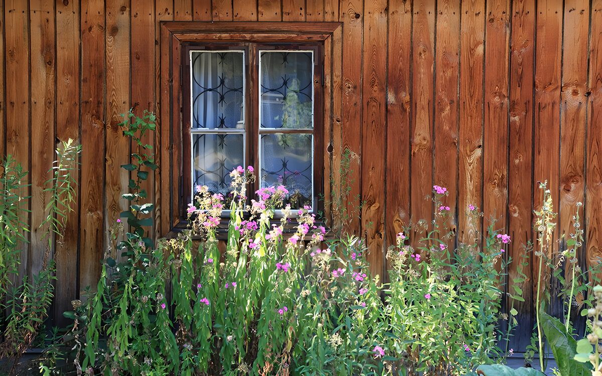 Holzfassade mit Fenster und Gartenblumen
