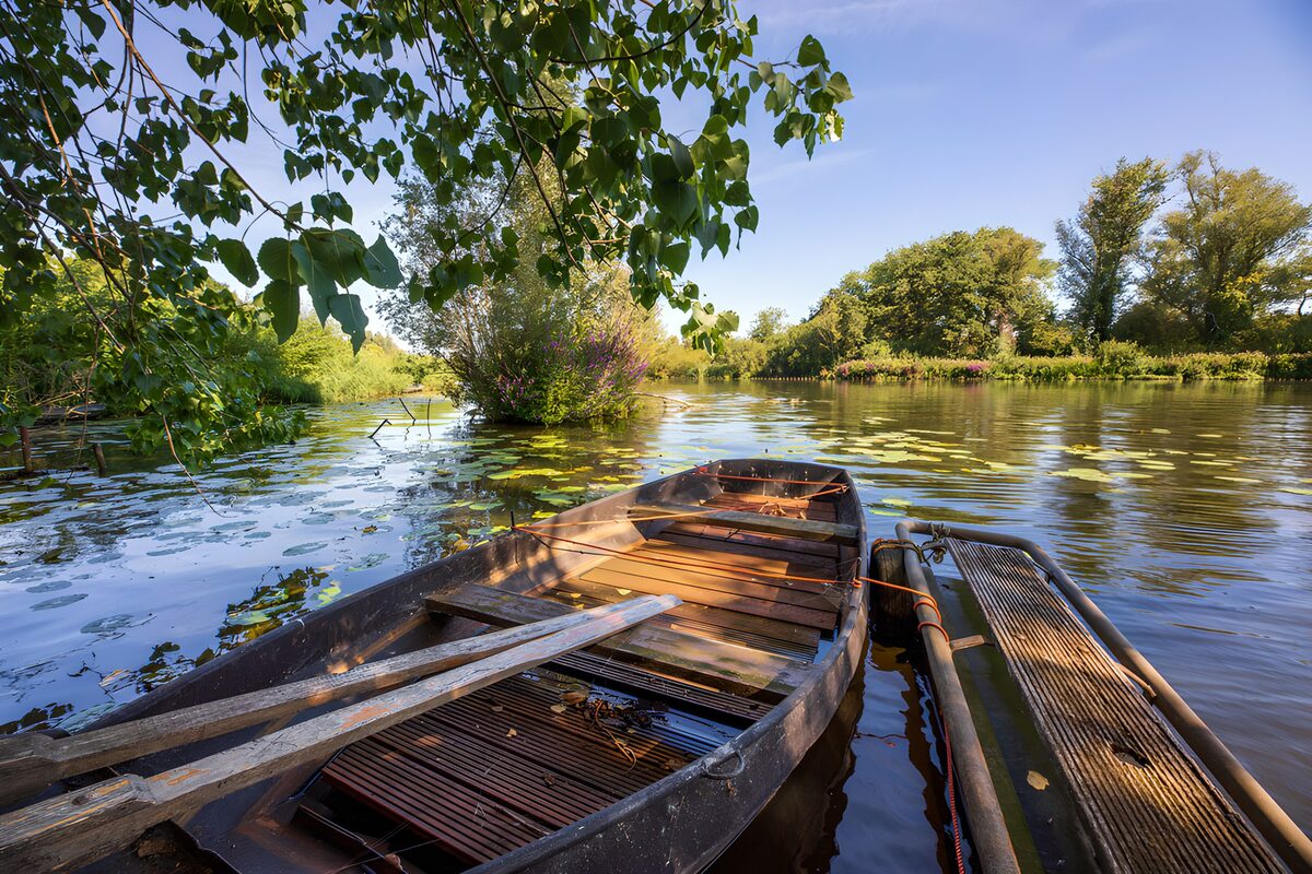 Ruderboot am Steg im Sommerlicht