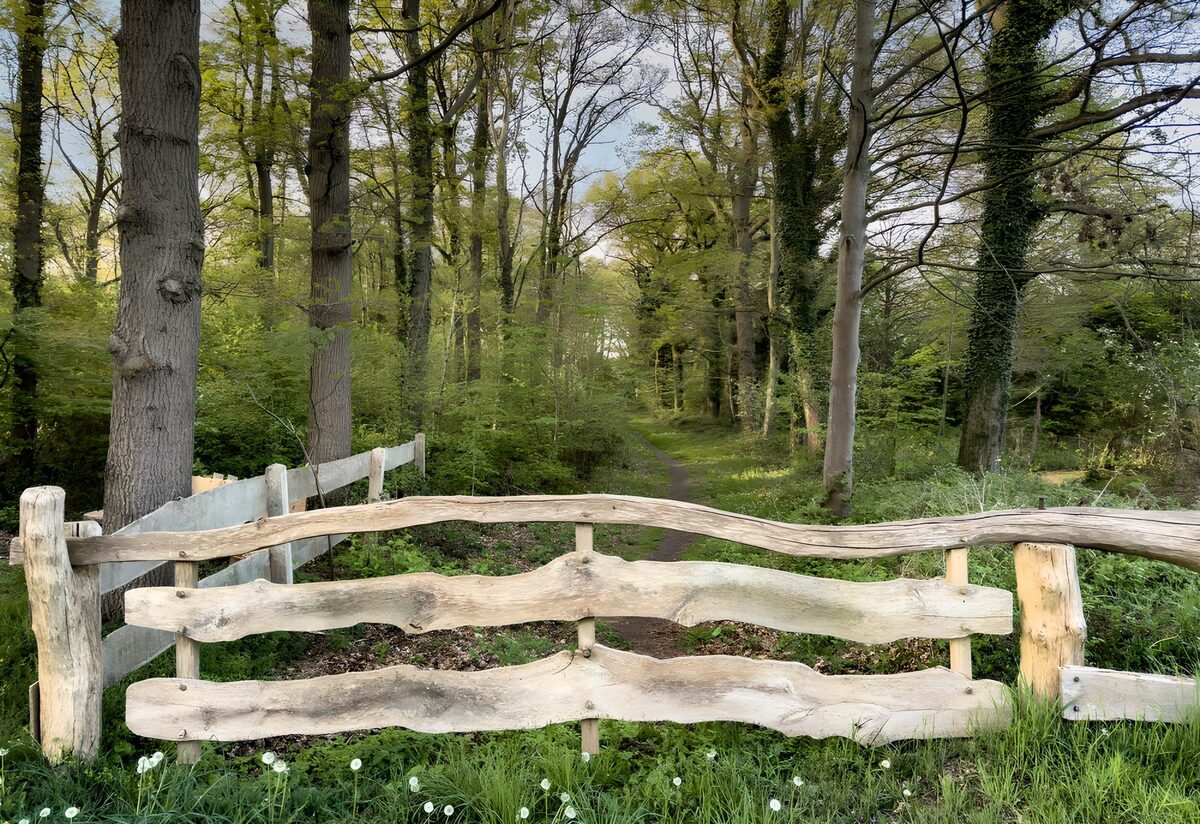 Holztor am stillen Waldpfad