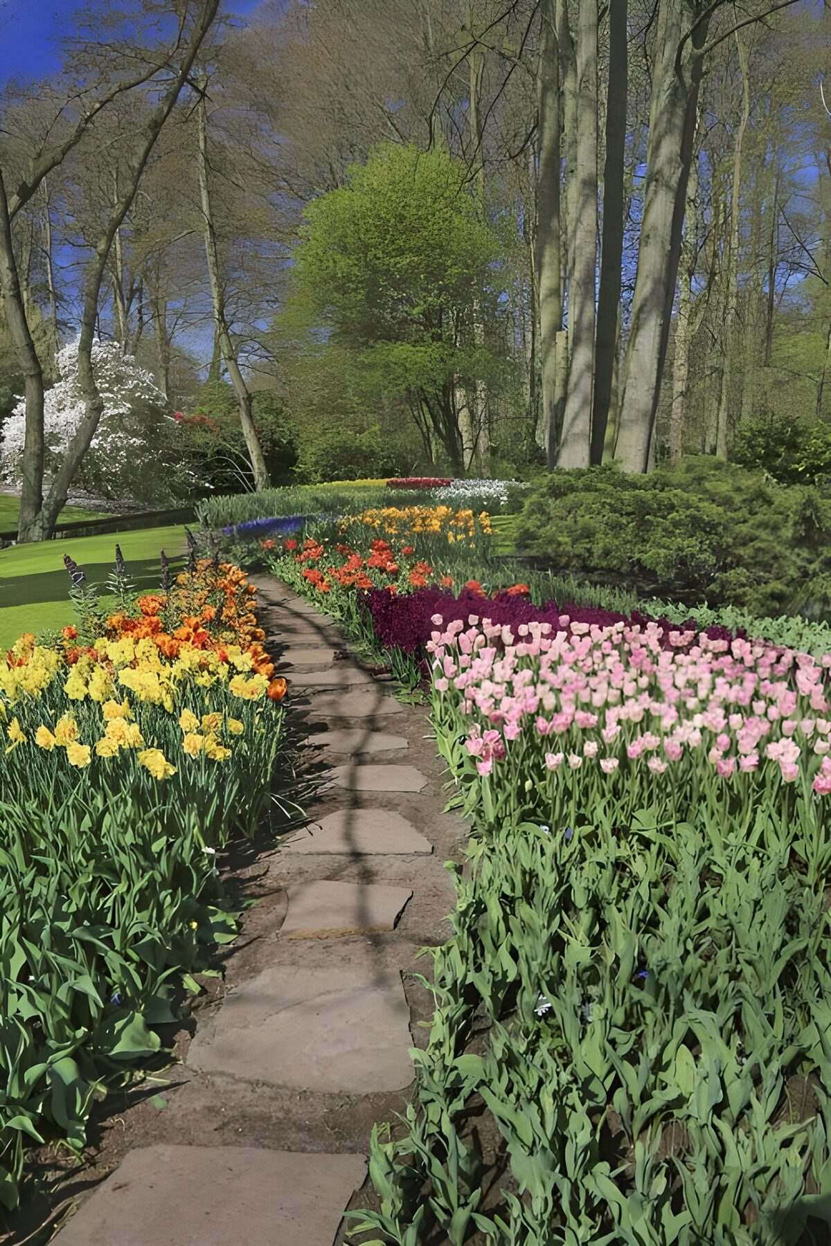 Steinweg zwischen bunten Frühlingsblumen