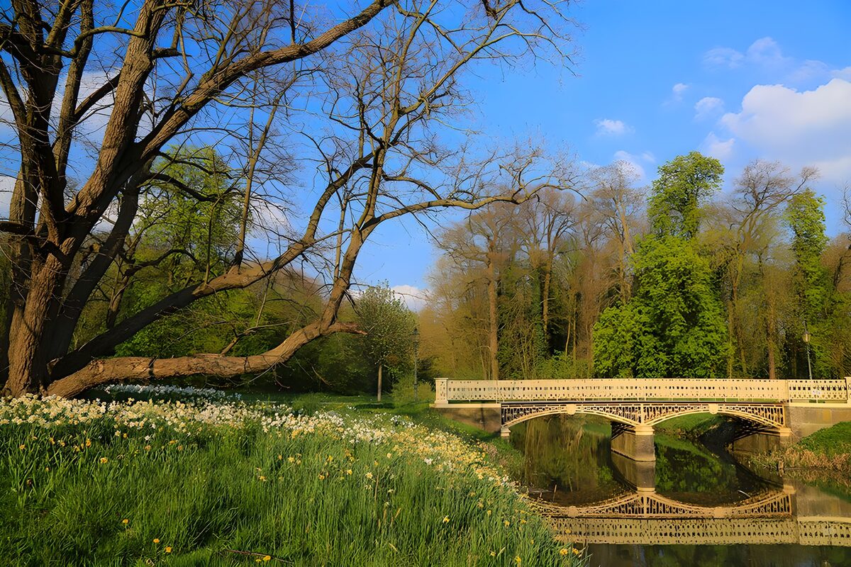 Frühlingspark mit heller Brücke