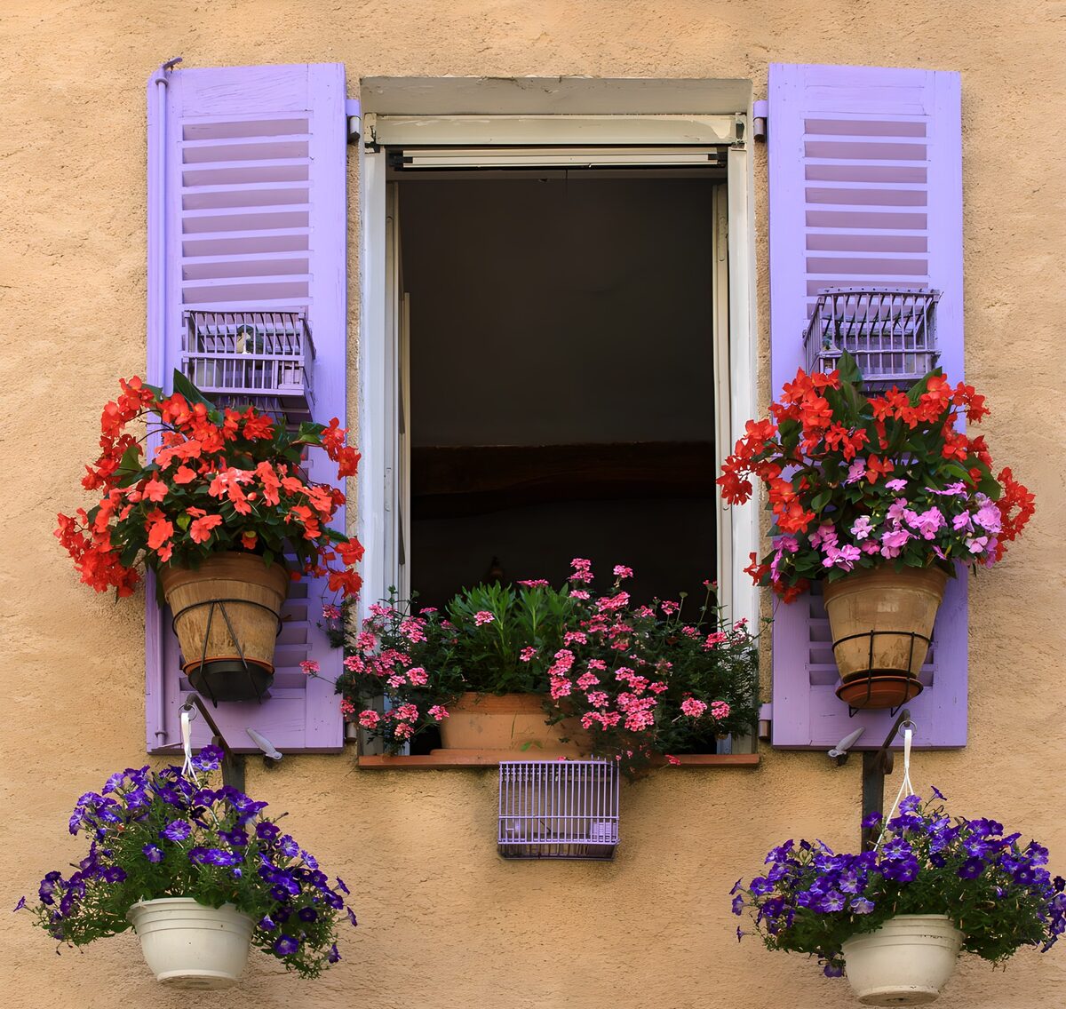 Blumenfenster mit fliederfarbenen Läden