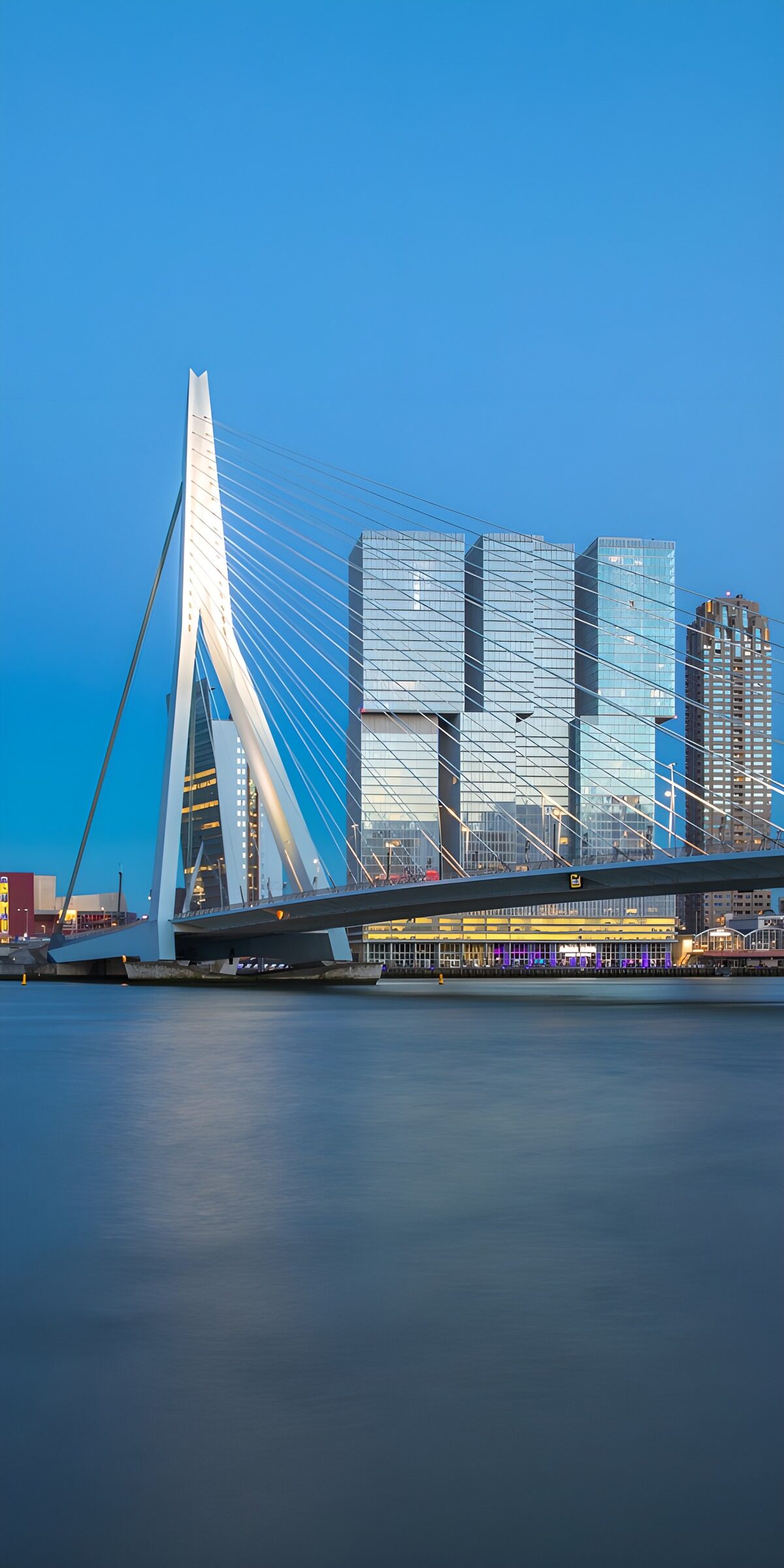Erasmusbrücke im blauen Abendlicht
