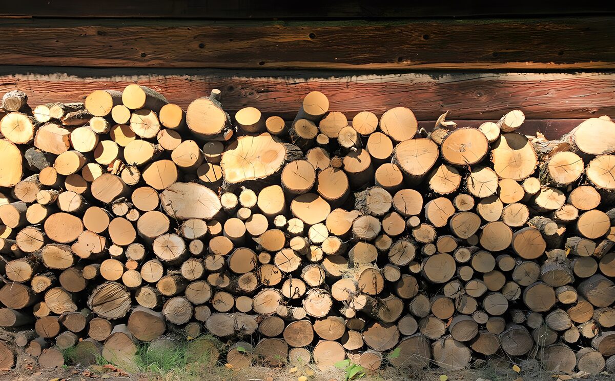 Holzstapel im warmen Sonnenlicht