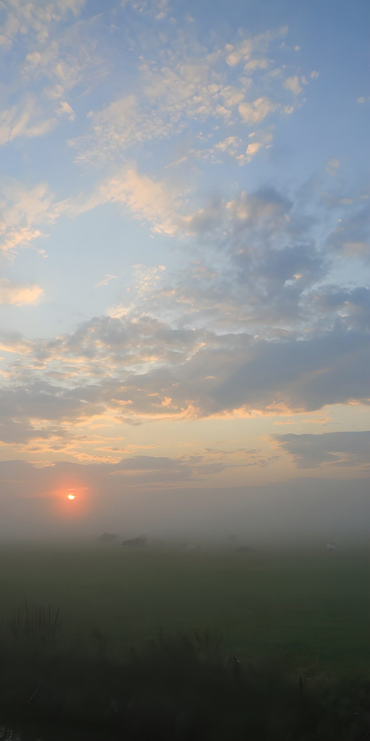 Sonnenaufgang über der Nebelwiese
