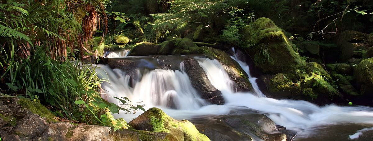 Waldbach über moosbewachsenen Felsen