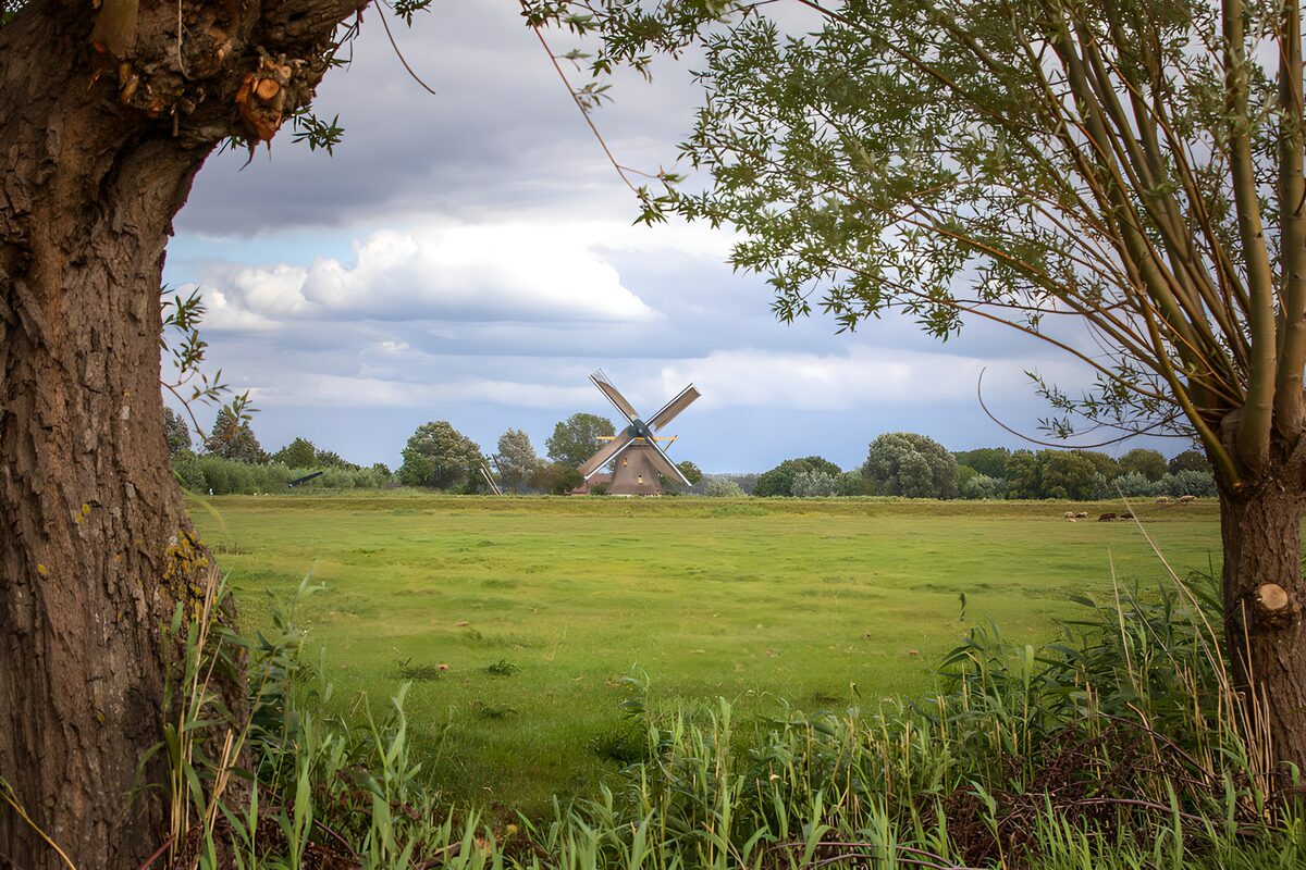 Windmühle hinter weiter grüner Wiese