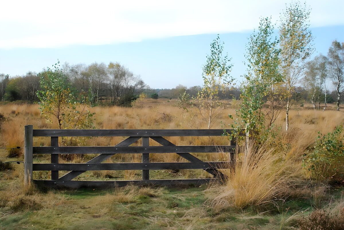 Holztor vor herbstlichem Grasland