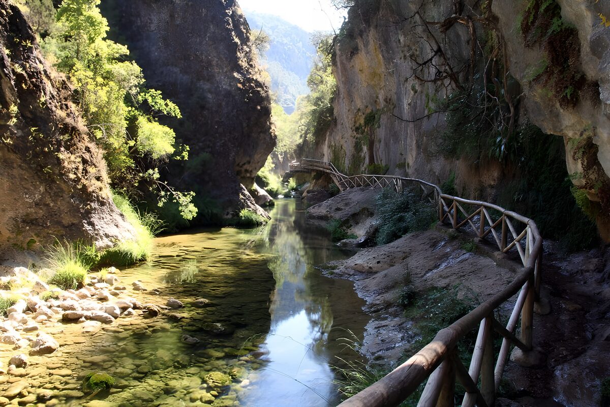 Klarer Bach in der schattigen Klamm