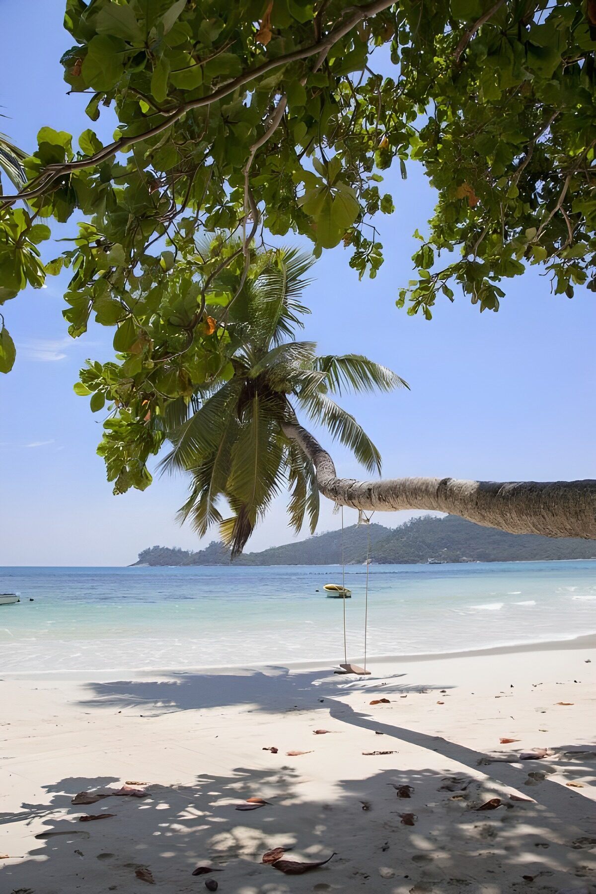Schaukel am Strand im Palmenschatten