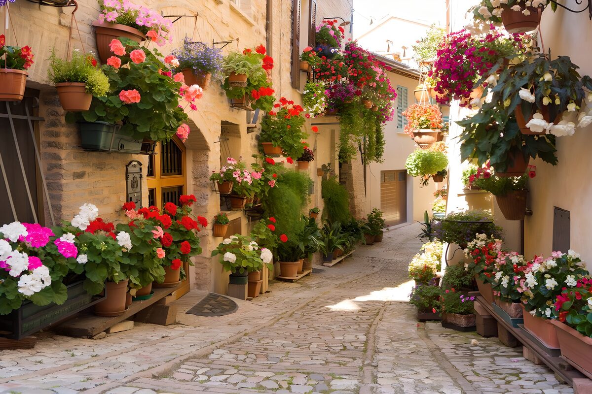 Schmale Gasse in sommerlicher Blütenpracht