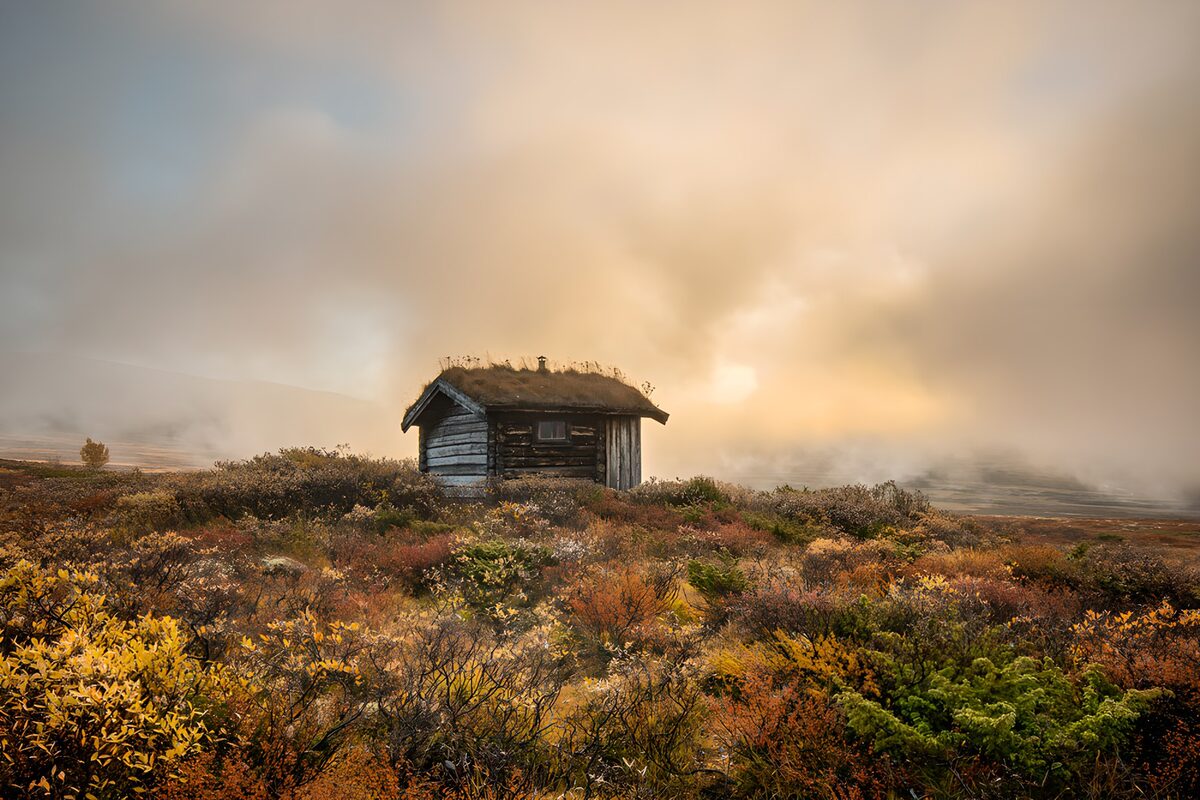 Holzhütte im herbstlichen Morgennebel