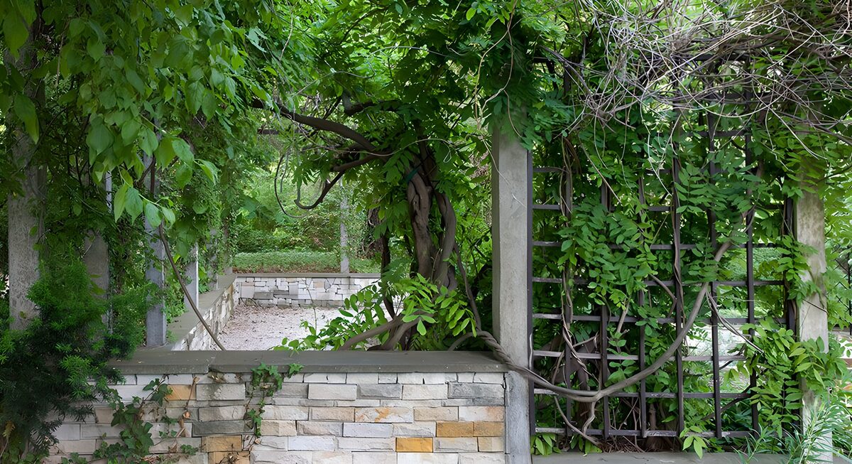 Üppig begrünte Pergola mit Steinmauer