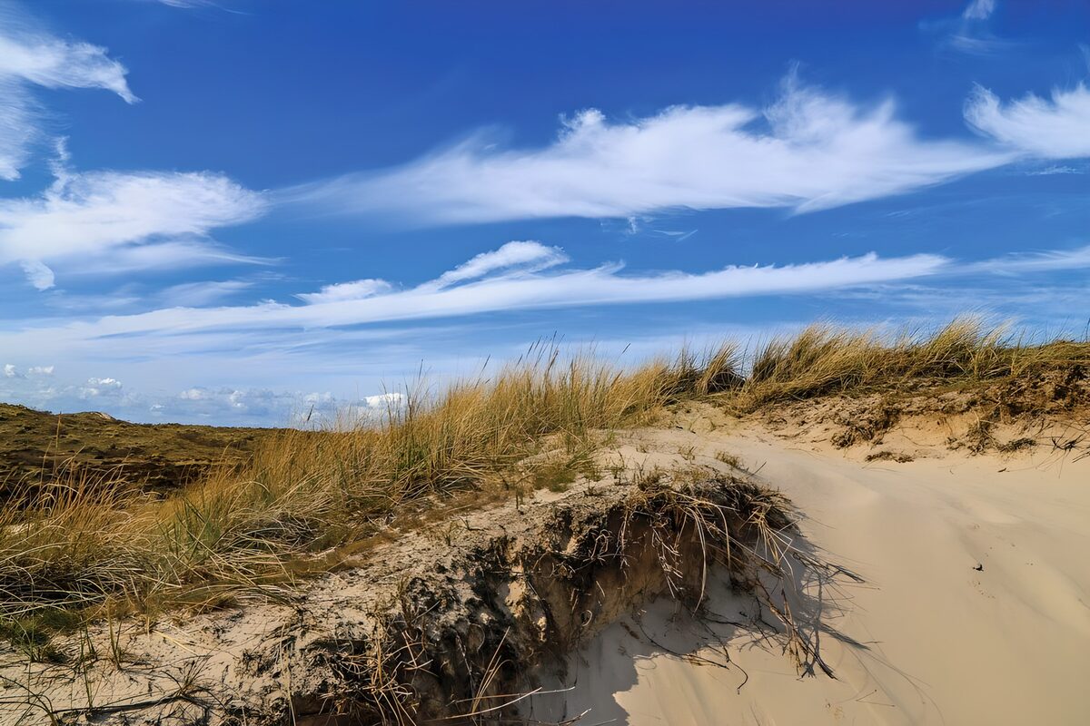 Grasbewachsene Dünen unter blauem Himmel
