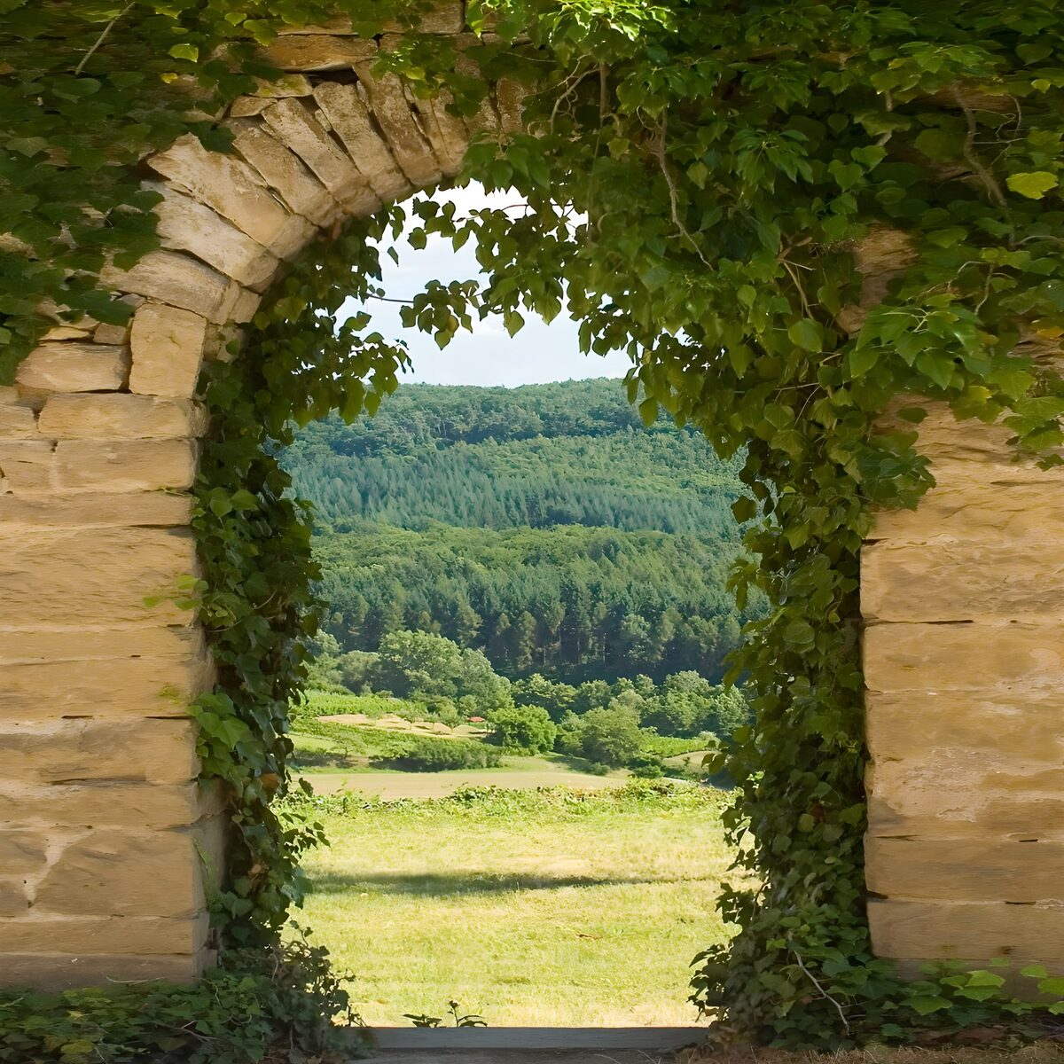 Steinbogen mit Blick auf Wiese und Wald