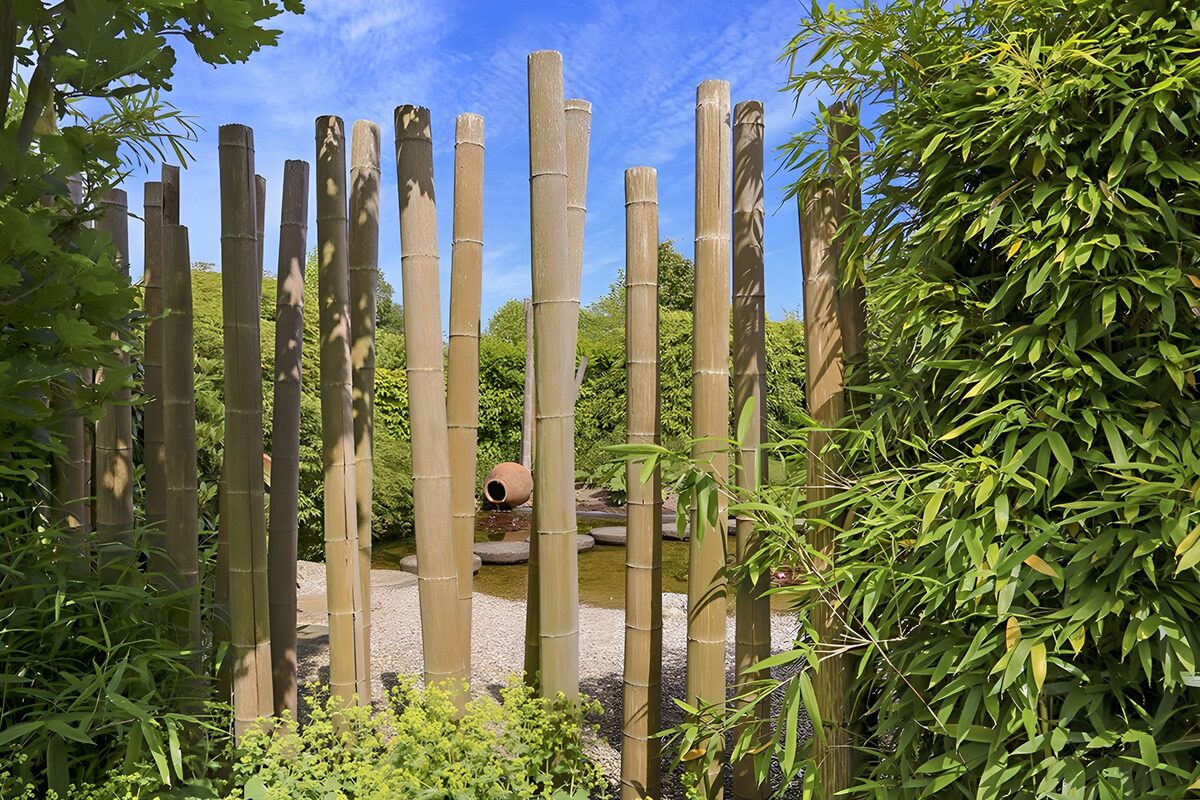 Bambusstangen vor grünem Gartenteich